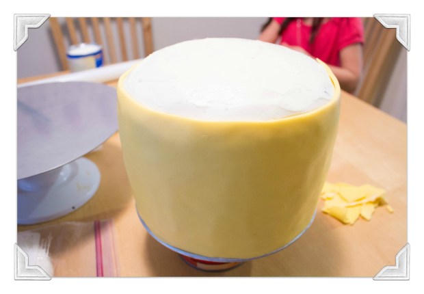 Shopkins (13 of 24)pm